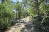 535  Thomas Road, Parkerville, WA 6081-Image