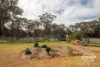5368 Strathbogie Road, Emmaville, NSW 2371-Image
