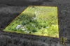 537 Horsecamp Road, Horse Camp, Qld 4671