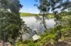 539 Willarong Road, Caringbah South, NSW 2229-Image