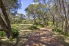54 - 58 White Cliffs Road, Rye, Vic 3941-Image