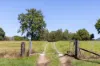 54 Bagnalls Road, Cooroy QLD 4563-Image