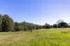 54 Bagnalls Road, Cooroy QLD 4563-Image