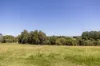 54 Bagnalls Road, Cooroy QLD 4563-Image