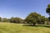 54 Bagnalls Road, Cooroy QLD 4563-Image