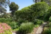 54 Bancroft Avenue, Roseville, NSW 2069-Image