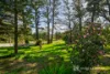 54 Barnard Street, Beechworth, Vic 3747-Image
