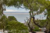 54 Bayview Avenue, Inverloch, Vic 3996