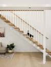54 Birkalla Street, Bulimba, Qld 4171-Image