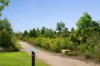 54 Bribie Crescent, Banya, Qld 4551-Image