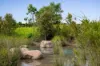 54 Bribie Crescent, Banya, Qld 4551-Image