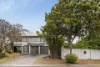 54 Carter Street, Northgate, Qld 4013-Image