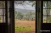 54 Chesneys Road, Dunorlan, Tas 7304-Image
