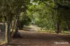54 Chesneys Road, Dunorlan, Tas 7304-Image