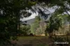 54 Chesneys Road, Dunorlan, Tas 7304-Image