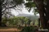 54 Chesneys Road, Dunorlan, Tas 7304-Image