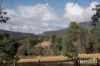 54 Chesneys Road, Dunorlan, Tas 7304-Image