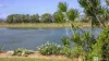 54 Clarence Street, Brushgrove, NSW 2460-Image