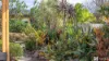 54 Clarence Street, Brushgrove, NSW 2460-Image