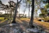 54 Coast Road, Macleay Island, Qld 4184-Image