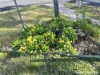 54 Davies Road, Kandos, NSW 2848-Image