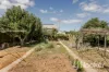 54 Days Road, Croydon Park, SA 5008-Image