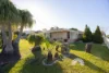 54 Eucalypt Street, Bellara, Qld 4507-Image