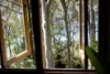 54 Florence Terrace, Scotland Island, NSW 2105-Image