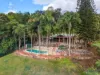 54 Gallet Road,, Little Mulgrave, Qld 4865