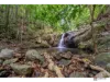 54 Gallet Road,, Little Mulgrave, Qld 4865-Image