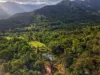 54 Gallet Road,, Little Mulgrave, Qld 4865-Image