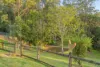 54 Goolabah Drive, Tallebudgera, Qld 4228-Image