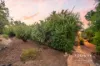 54 Henrietta Avenue, Mount Nasura, WA 6112-Image