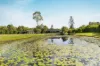54 Jubilee Road, Carters Ridge, Qld 4563-Image