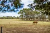 54 Kingston Terrace, North Adelaide, SA 5006-Image