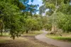 54 Kingston Terrace, North Adelaide, SA 5006-Image