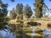 54 Lorrimer Street, Oakey, Qld 4401-Image