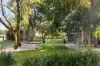 54 Lorrimer Street, Oakey, Qld 4401-Image