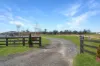 54 Mulwaree Street, Tarago, NSW 2580-Image