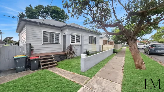 54 Nevill Street, Mayfield, NSW 2304