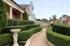 54 Nicholson Street, Burwood, NSW 2134-Image
