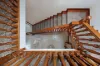 54 Nicholson Street, Burwood, NSW 2134-Image