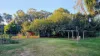54 Queen Street, Gayndah, Qld 4625-Image