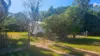 54 Queen Street, Gayndah, Qld 4625-Image