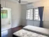 54 Shottery Street, Yeronga, Qld 4104-Image