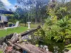 54 Statesman Circuit, Sippy Downs, Qld 4556-Image