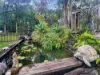 54 Statesman Circuit, Sippy Downs, Qld 4556-Image