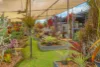 54 SUTTON ROAD, Coolabine, Qld 4574-Image