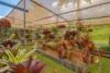54 SUTTON ROAD, Coolabine, Qld 4574-Image