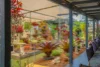 54 SUTTON ROAD, Coolabine, Qld 4574-Image
